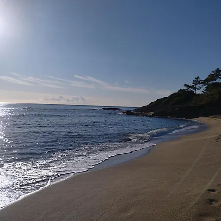 Διαμέρισμα Climatise Proche Linguizzetta