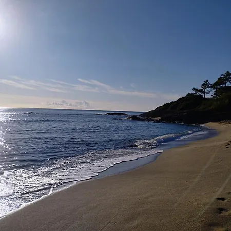 Climatise Proche Apartment Linguizzetta