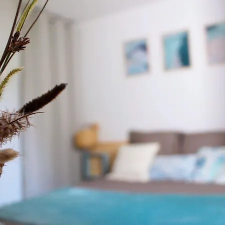 Apartment Climatise Proche Linguizzetta