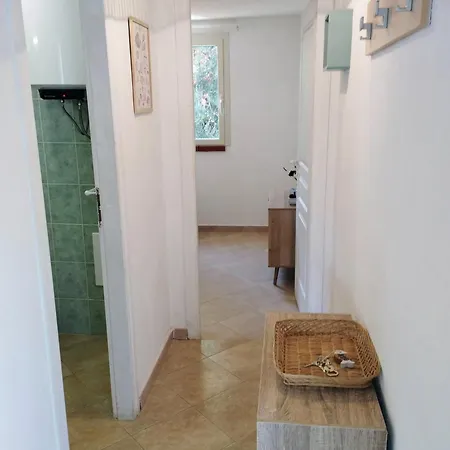 Climatise Proche Apartment Linguizzetta