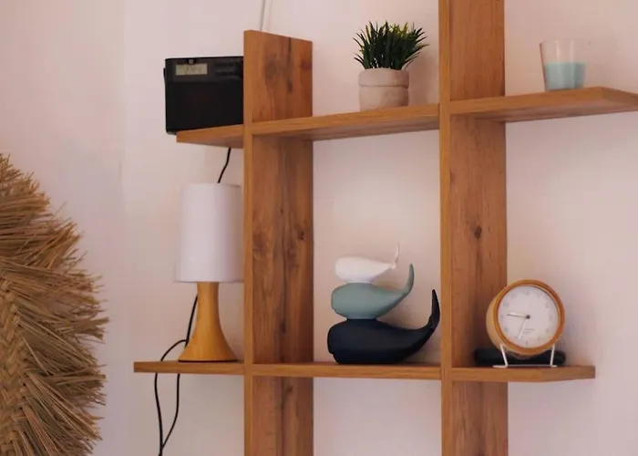 Climatise Proche Appartement Linguizzetta