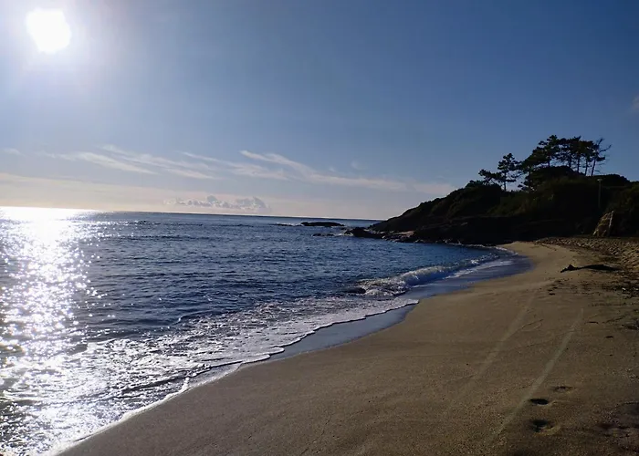 Climatise Proche Appartement Linguizzetta