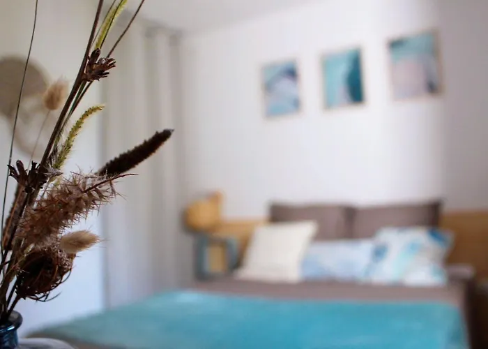 Appartement Climatise Proche Linguizzetta